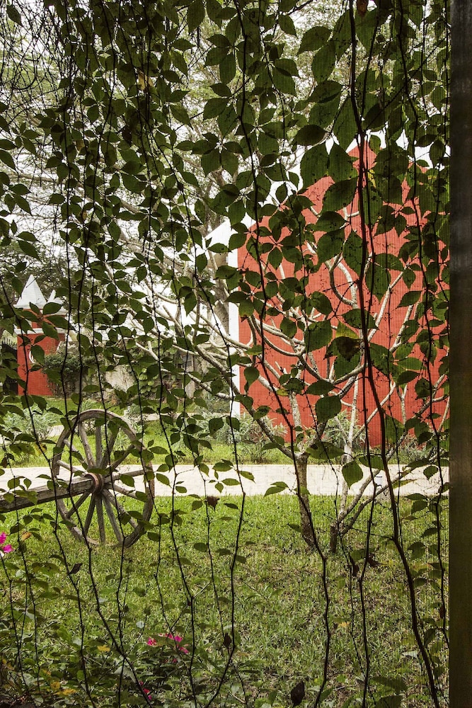 Hacienda Santa Cruz 64/68