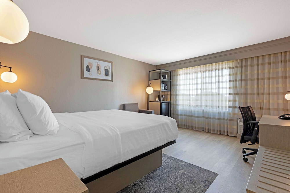 STANDARD, KING BED