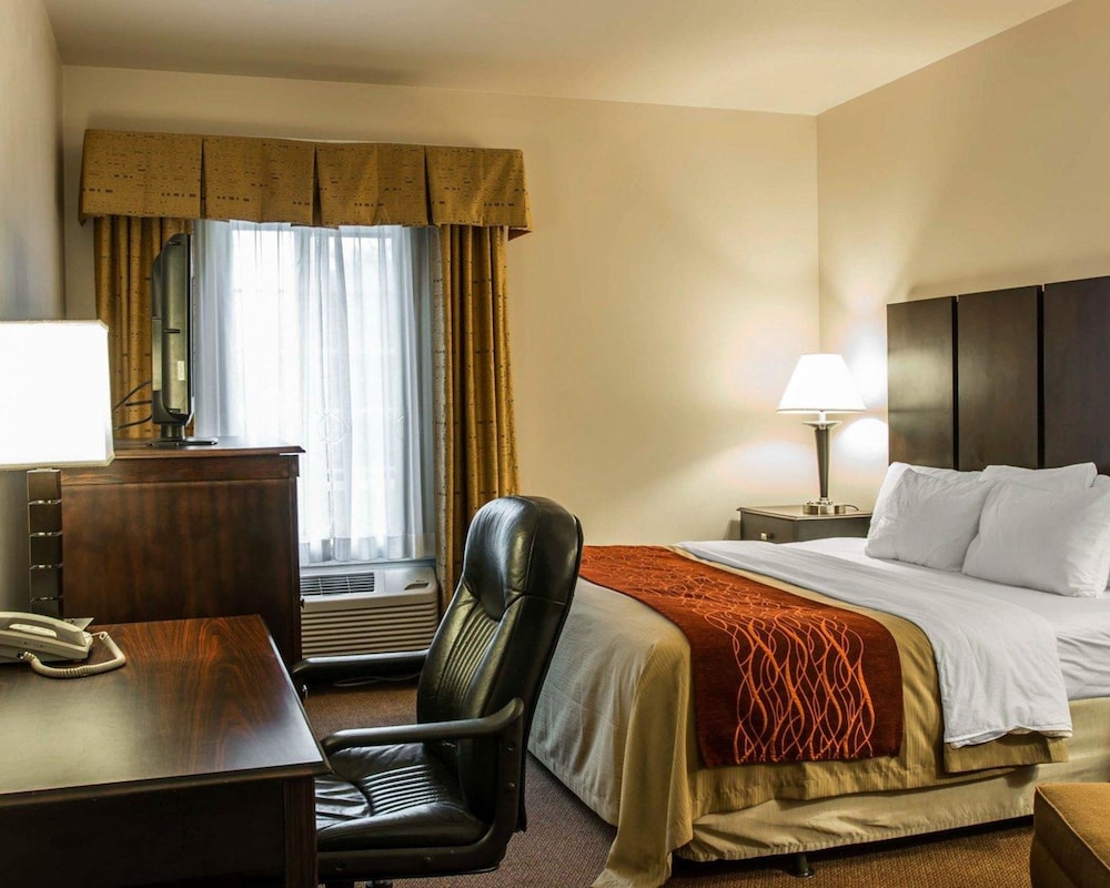 Comfort Inn and Suites Fenton MI 19/50