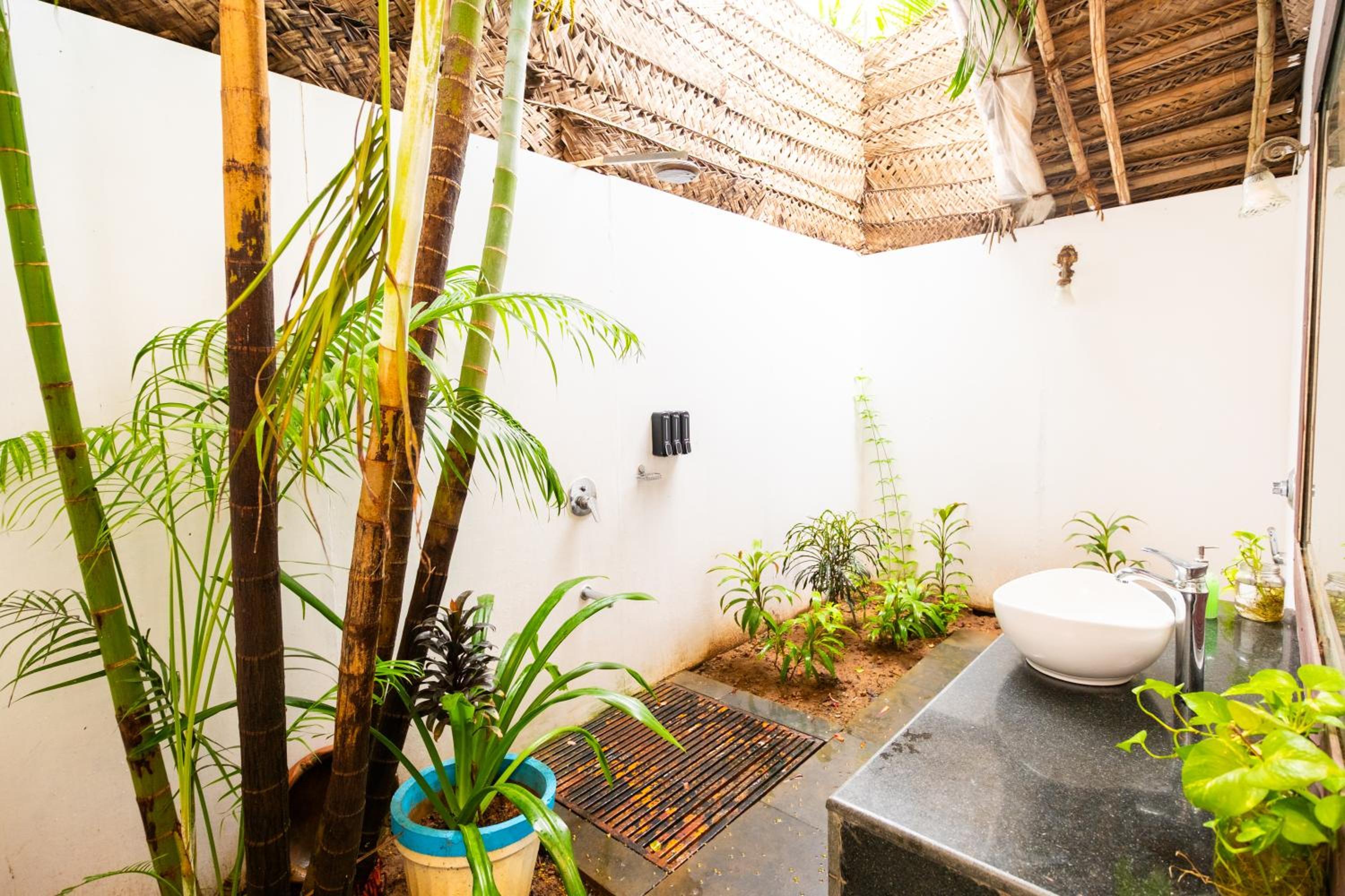 The Bay Agonda 50/50