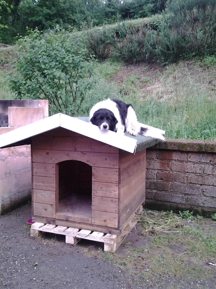 agriturismo la gismonda