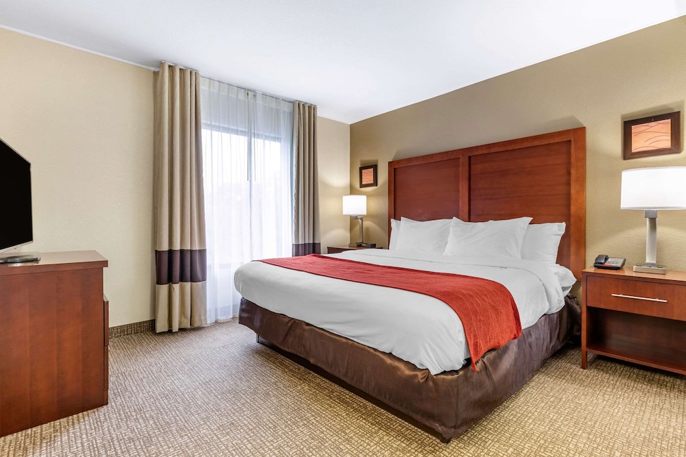 Comfort Inn & Suites Clemson - University Area 14/49