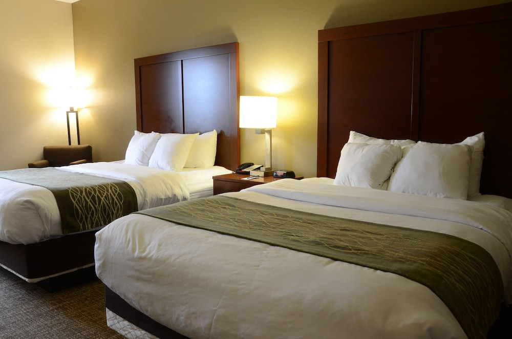Standard, 2 Queen Beds