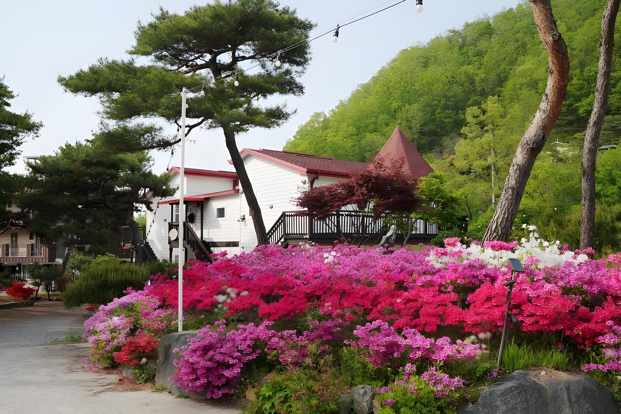 Yangpyeong In & In Pension 12/20
