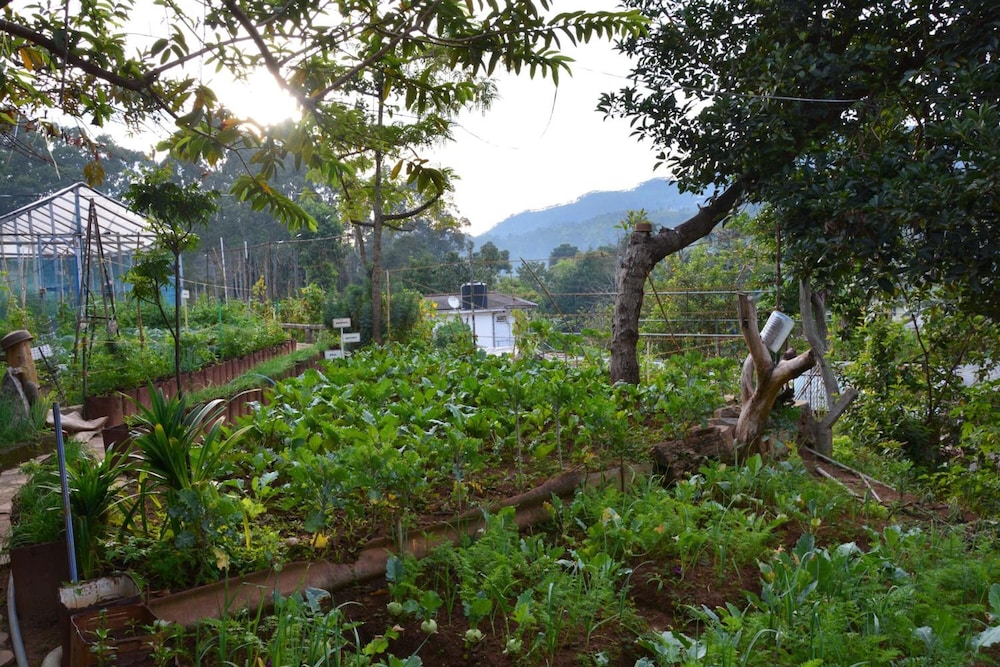 Bandarawela 33/64