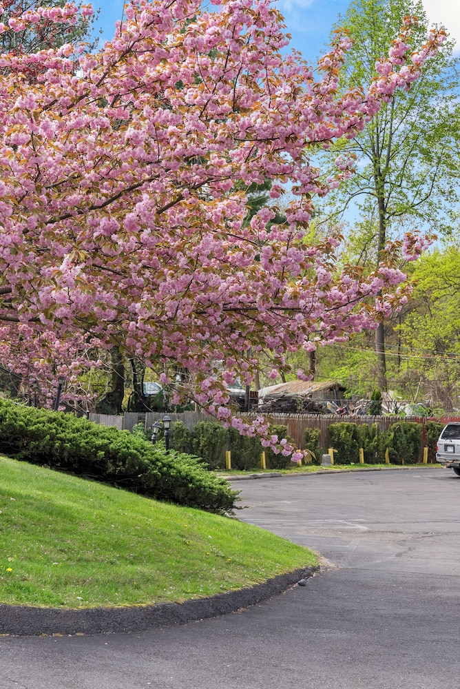 Ardsley Acres Hotel Westchester 43/49