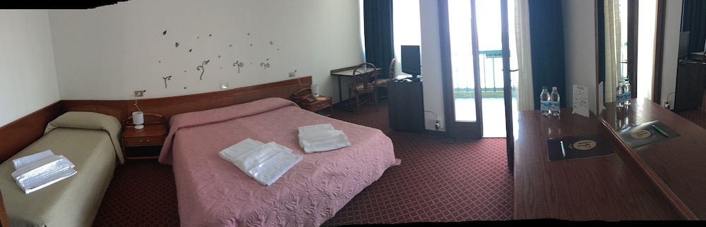 Hotel Friuli 12/50