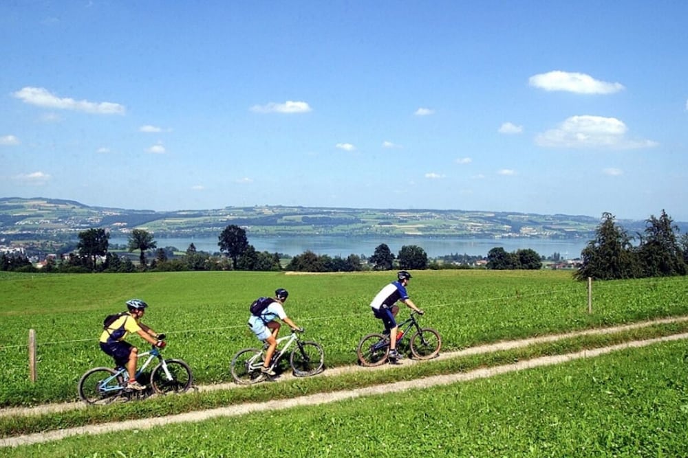 Sempachersee Swiss Quality Hotel 66/69