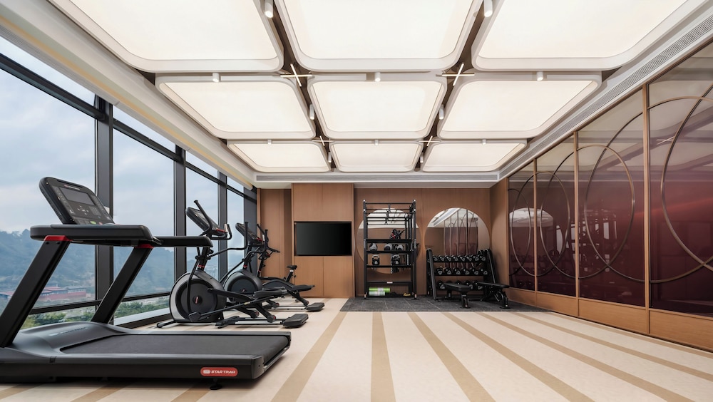 Hilton Garden Inn Mianyang Santai 28/48