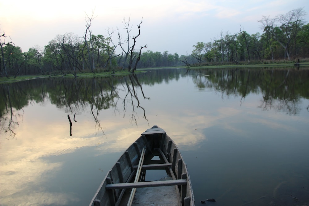 Jungle Sunset Camp 14/20