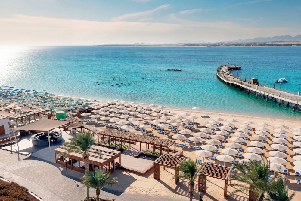 SRNTY Sahl Hasheesh 63/68