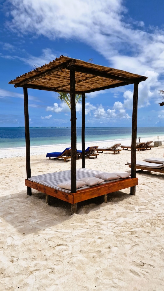 Dream of Zanzibar 44/50