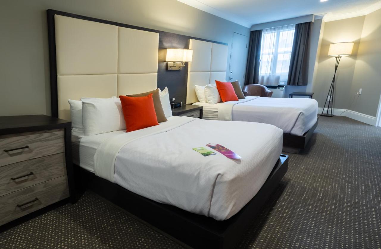 Room, Quadruple, River View