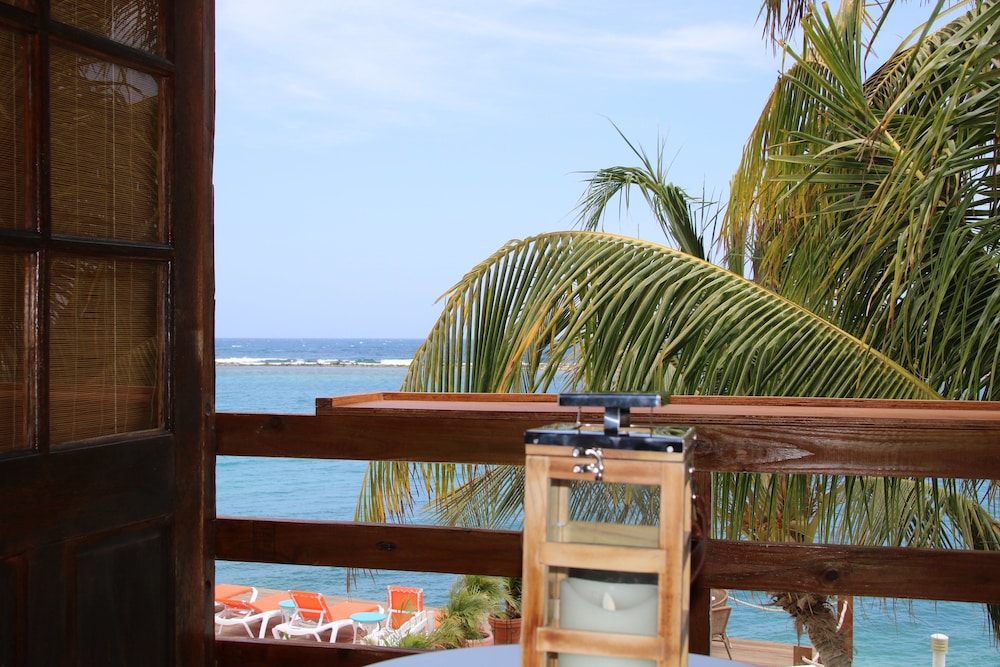 Coral Reef Beach Aruba 47/50