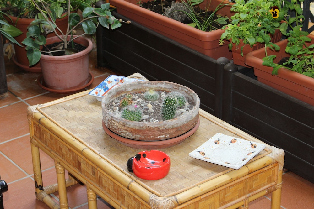 サ バッバイオーラ B&B 写真2