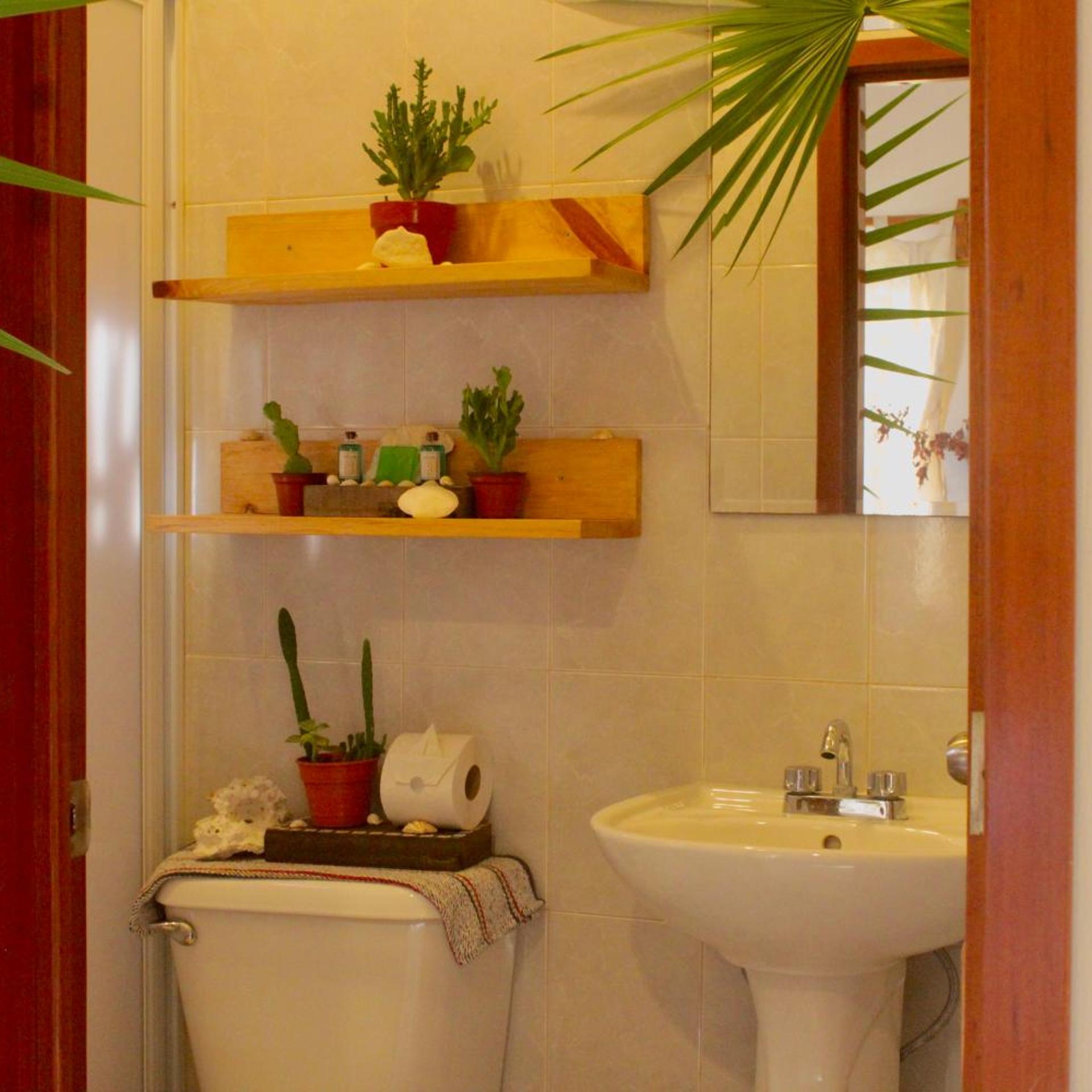 Hotel Jaiba Mahahual 58/58