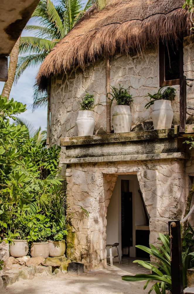 NEST Tulum 1/50