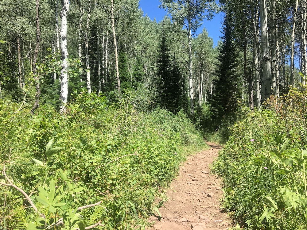 Sundial Lodge by All Seasons Resort Lodging 46/50