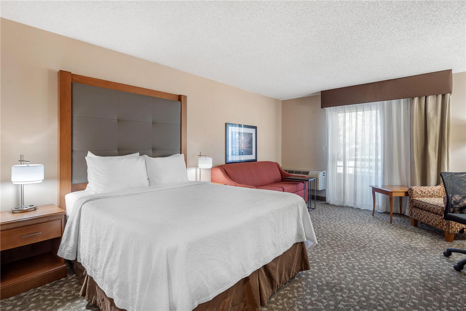 Room, Queen Bed, Accessible