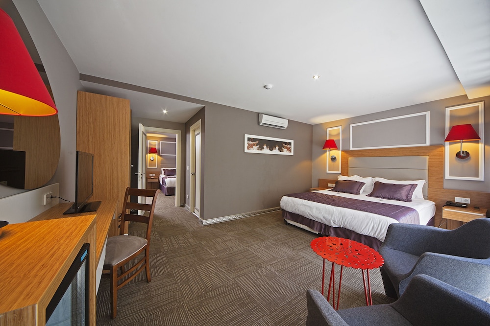 All Seasons Hotel Istanbul 42/73