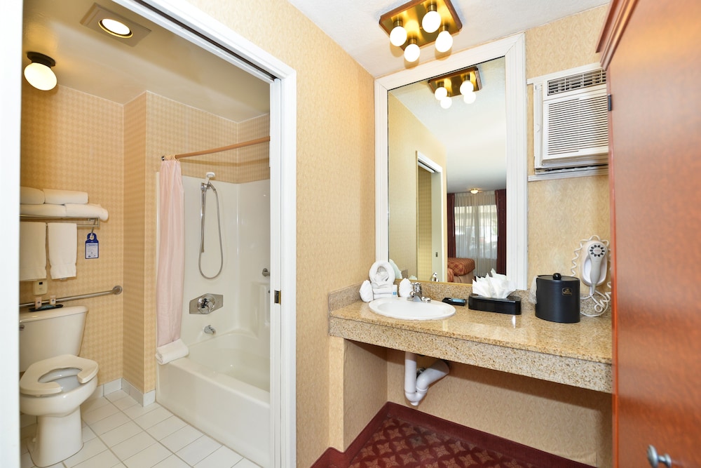 Best Western Plus Anaheim Inn 32/59
