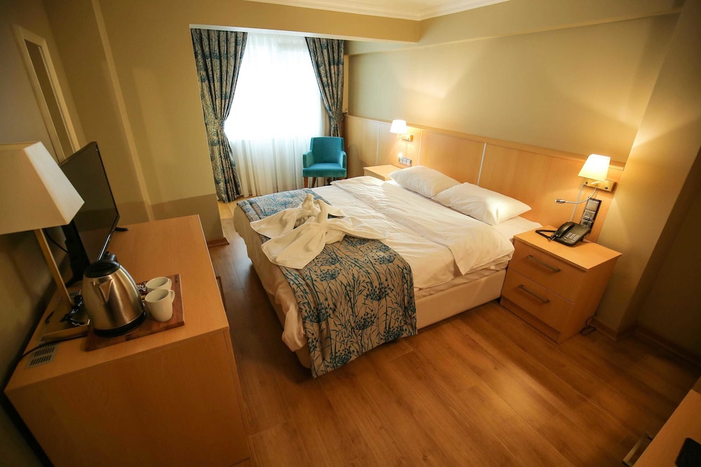 Artika Hotel 13/48