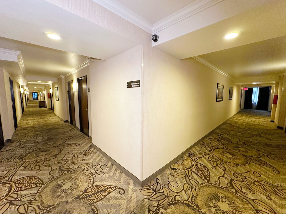Alhambra Hotel 10/50
