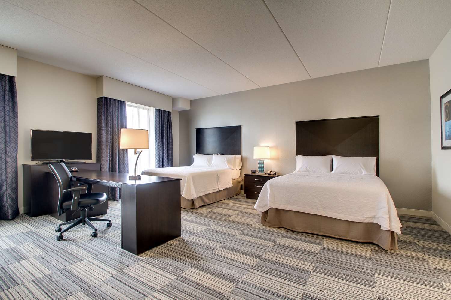 STUDIO, SUITE, 2 QUEEN BEDS