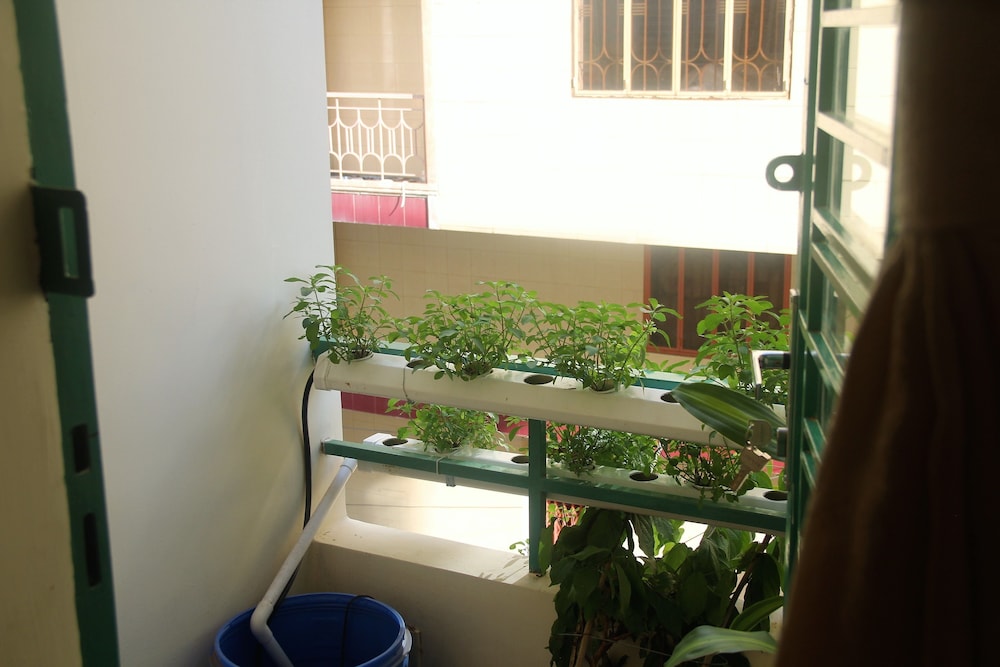 Winter Spring Homestay 48/50