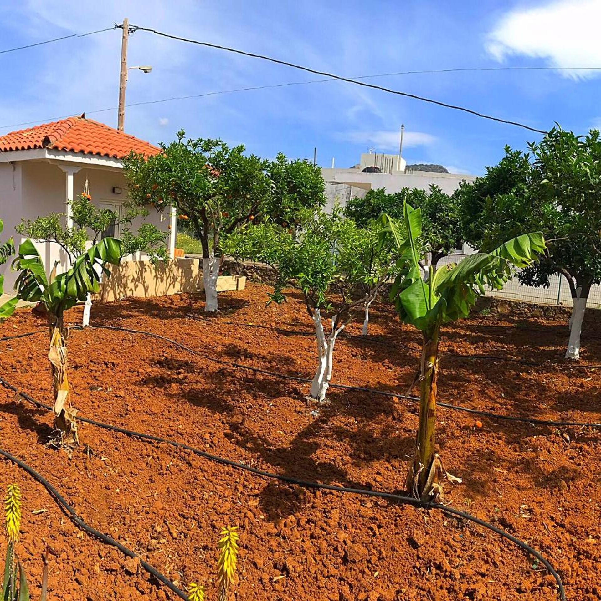 Maria Hotel 39/56