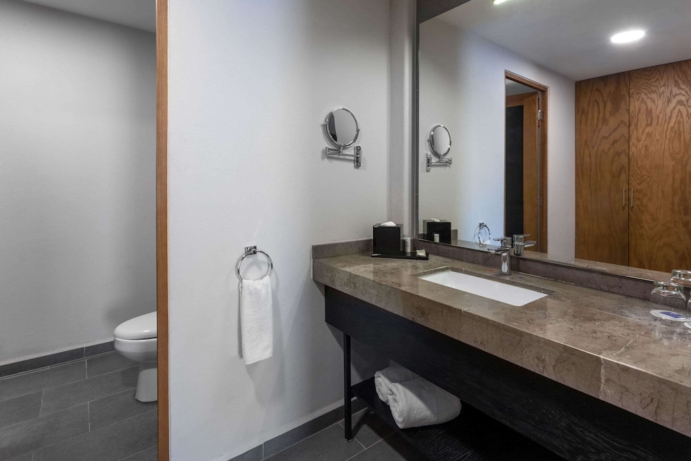 Tryp By Wyndham San Luis Potosi 46/48