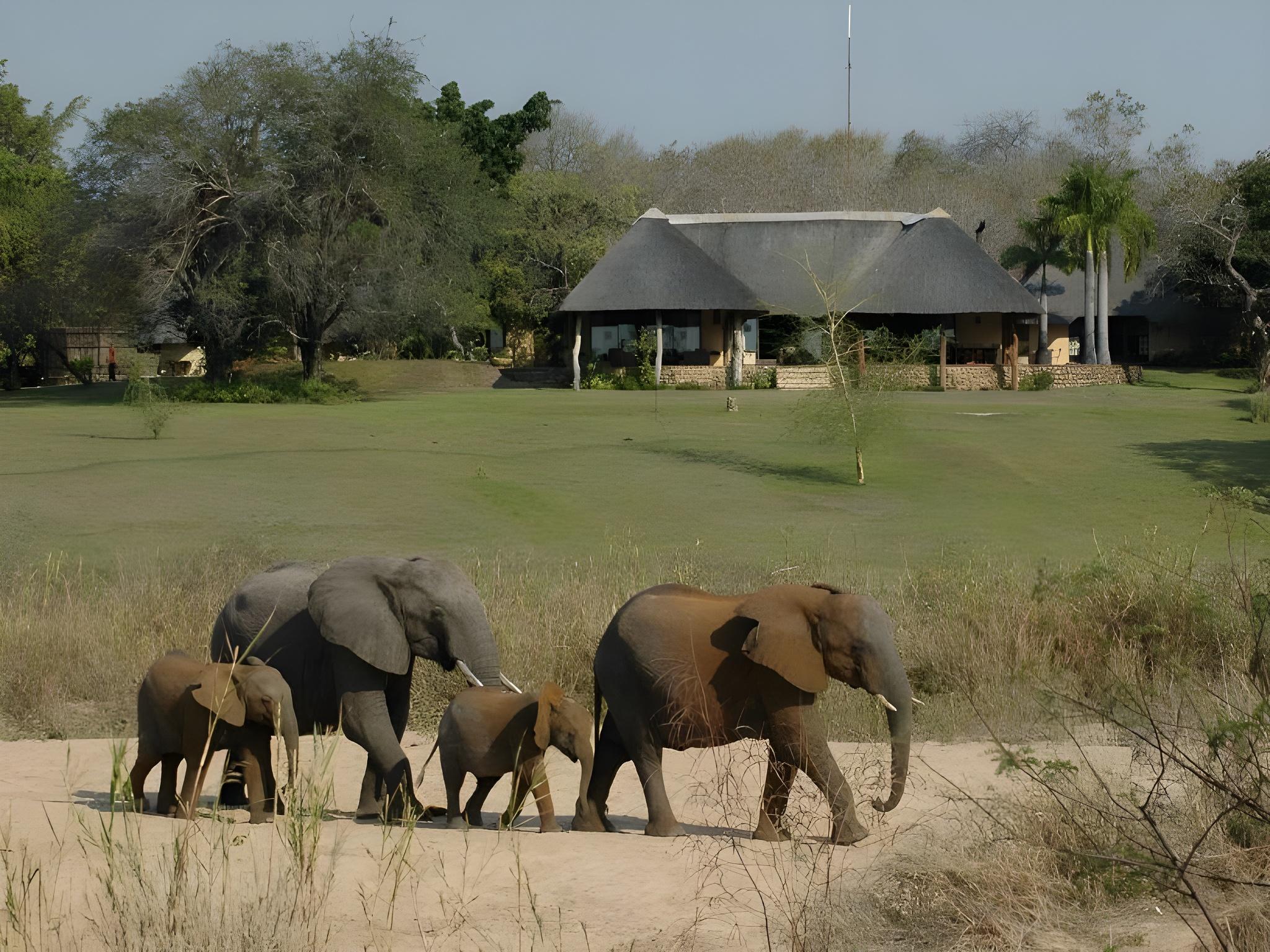 Inyati Game Lodge 53/63