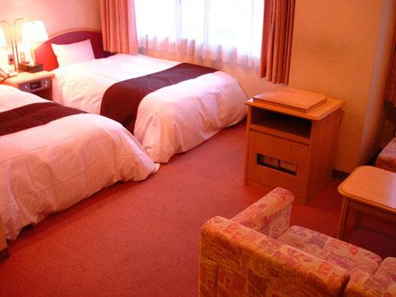 Western, Twin Beds, Smoking Type Not Guaranteed