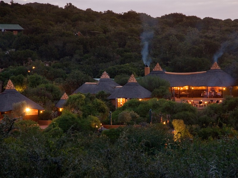 Safari Lodge- Amakhala Game Reserve 36/50