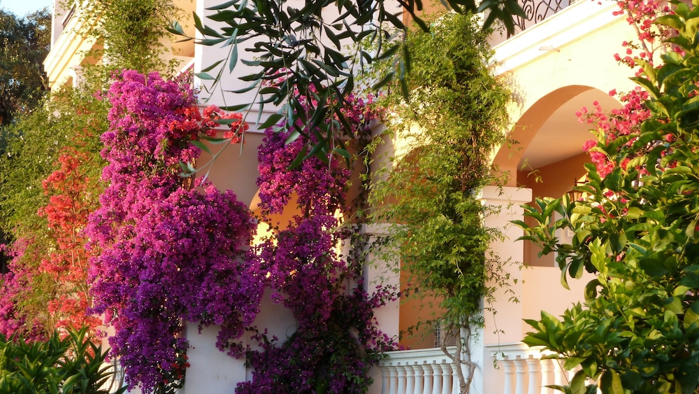 Nefeli Hotel Corfu 48/59