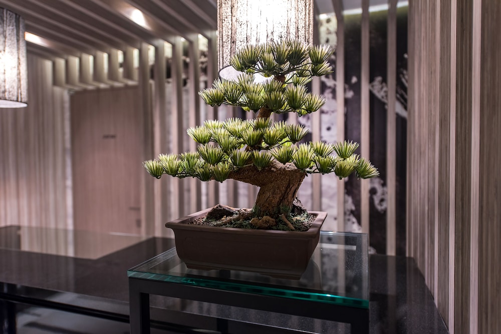 Hotel Ann Asakusa 51/53