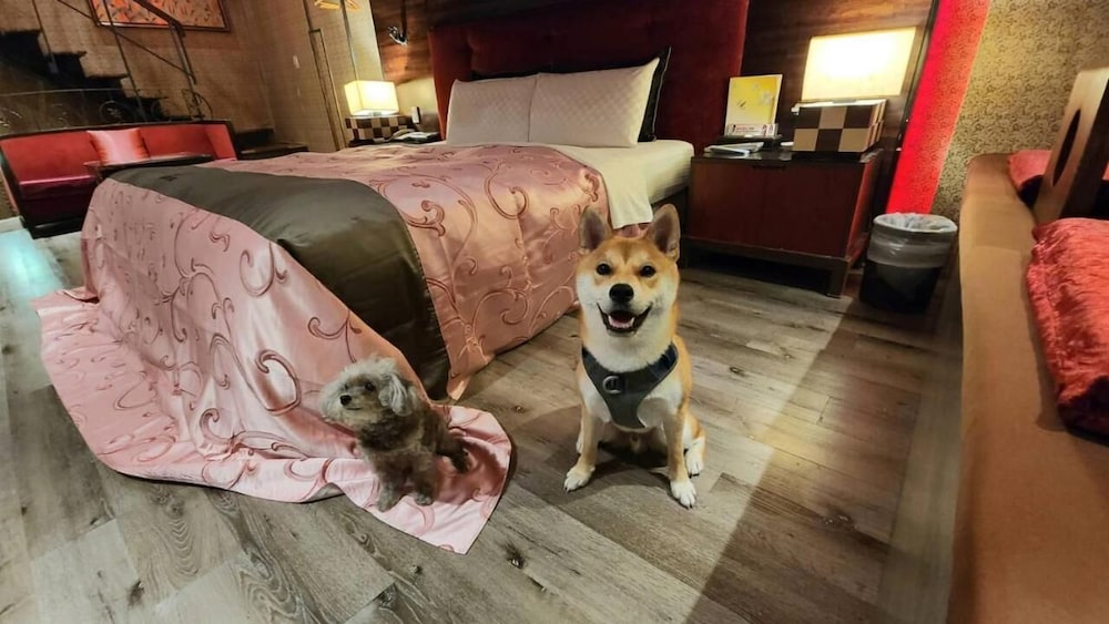 Fongchin Motel photo5