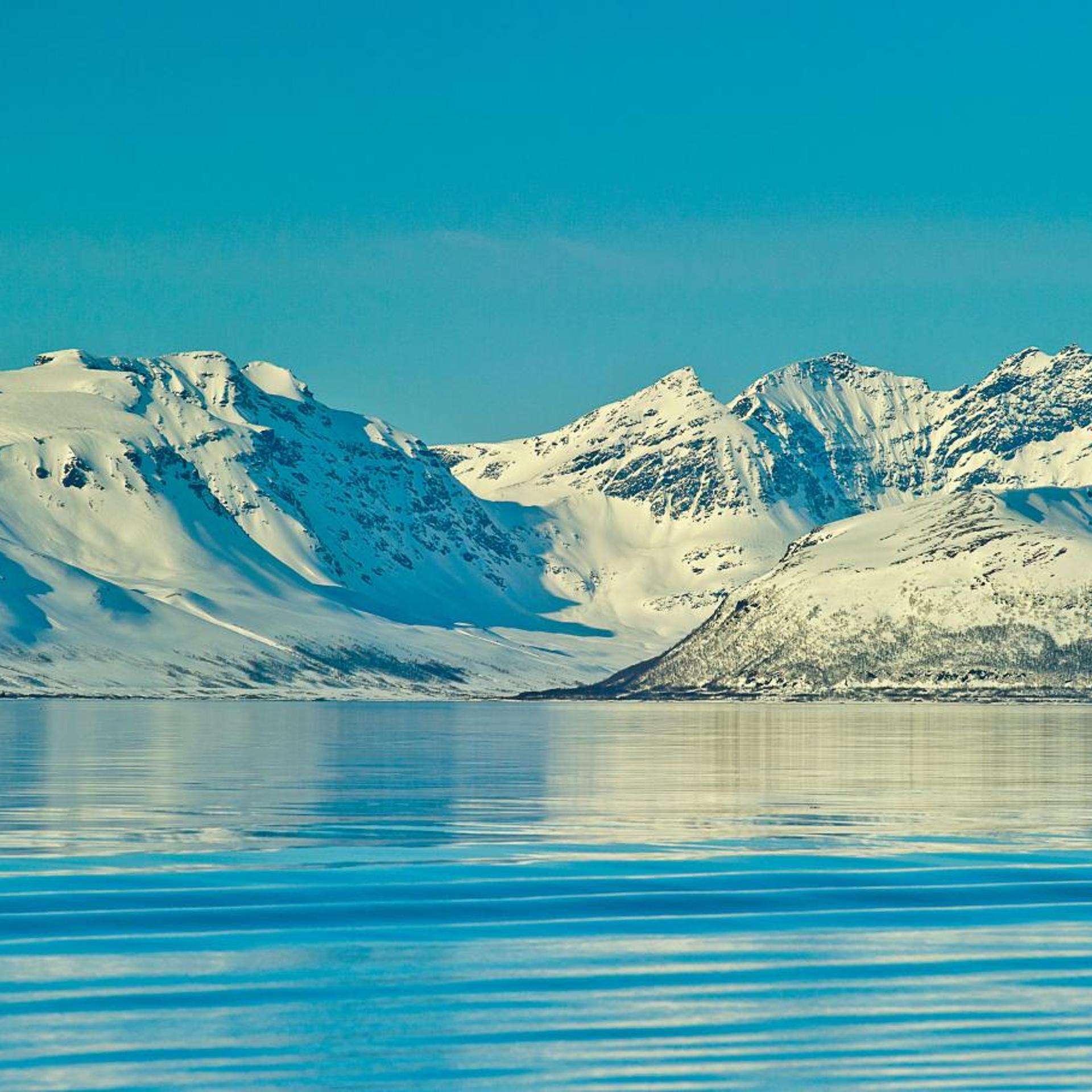 Lyngen Experience Apartments 35/50