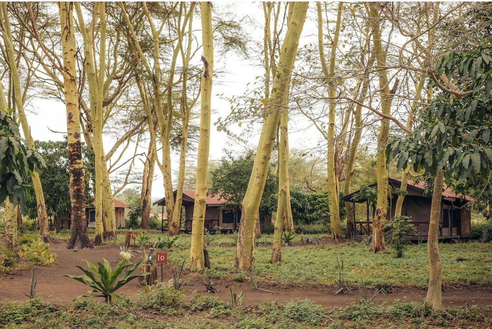 MIGUNGA TENTED CAMP 36/47