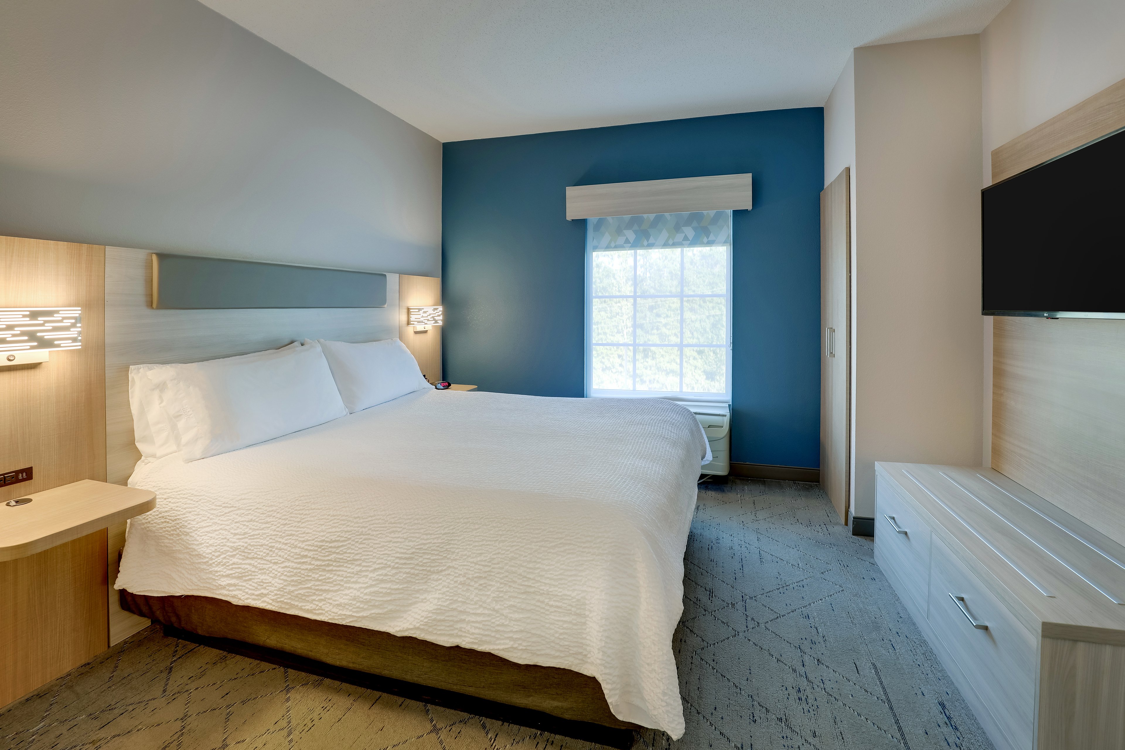 Holiday Inn Express Hotel Suites Orangeburg 24/61