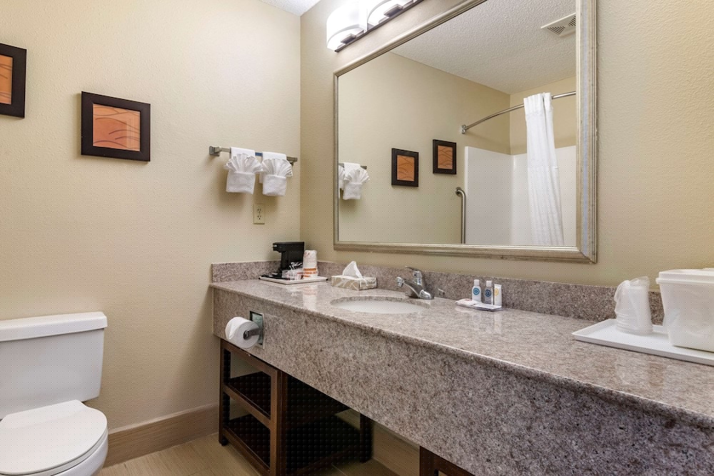 Comfort Inn Suites Statesboro 12/34