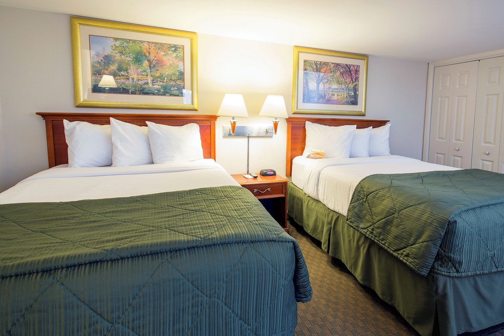 ROOM, 2 DOUBLE BEDS, ACCESSIBLE