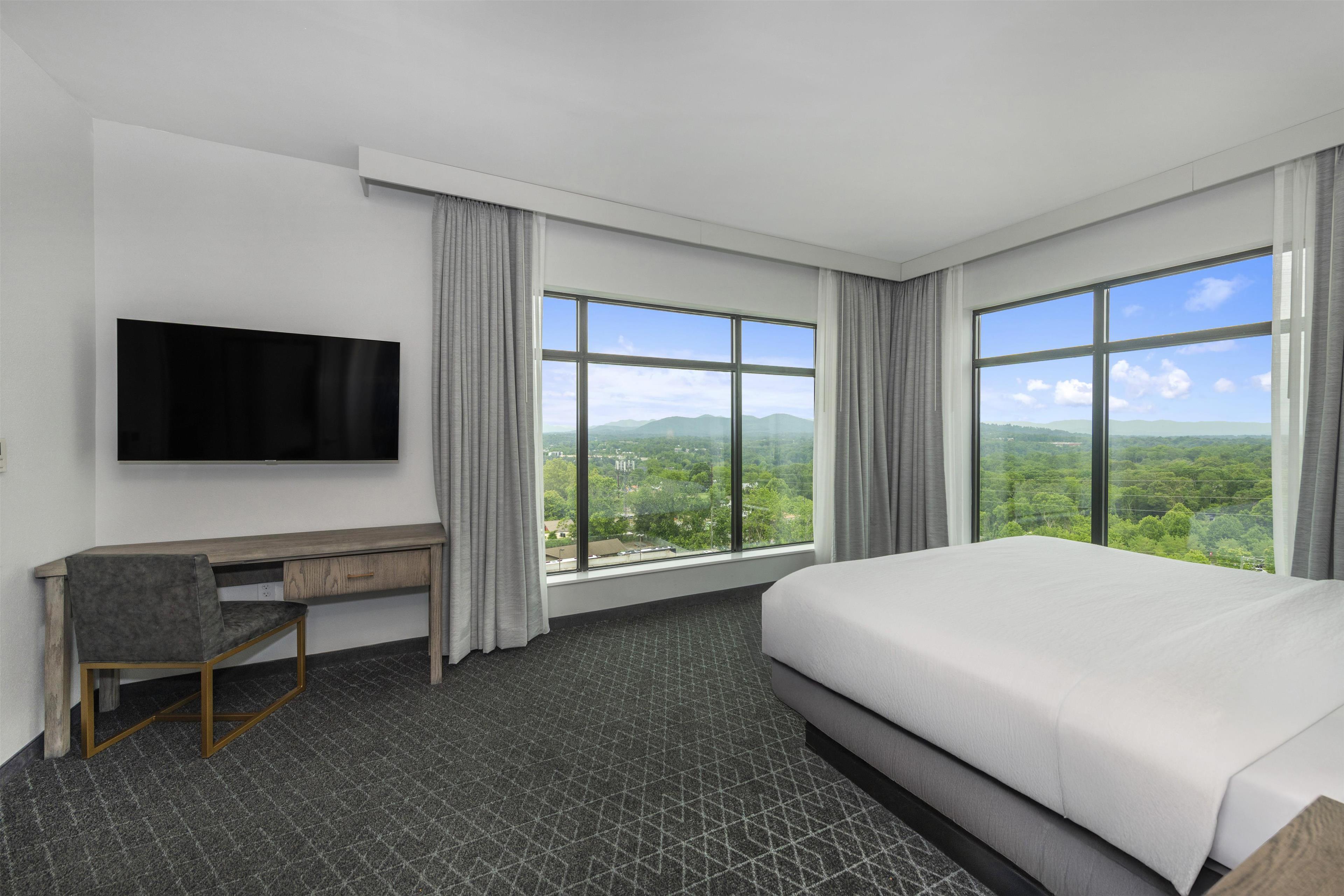 2 ROOMS, SUITE, KING BED, MOUNTAIN VIEW, ACCESSIBLE