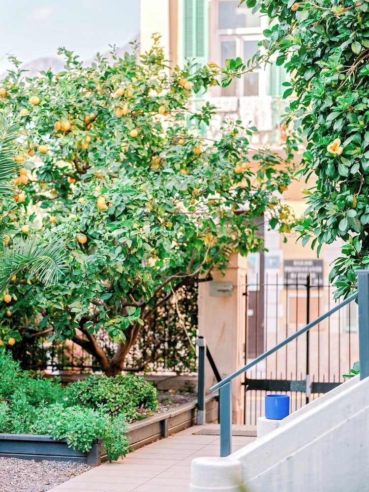 Hotel Lemon 43/50