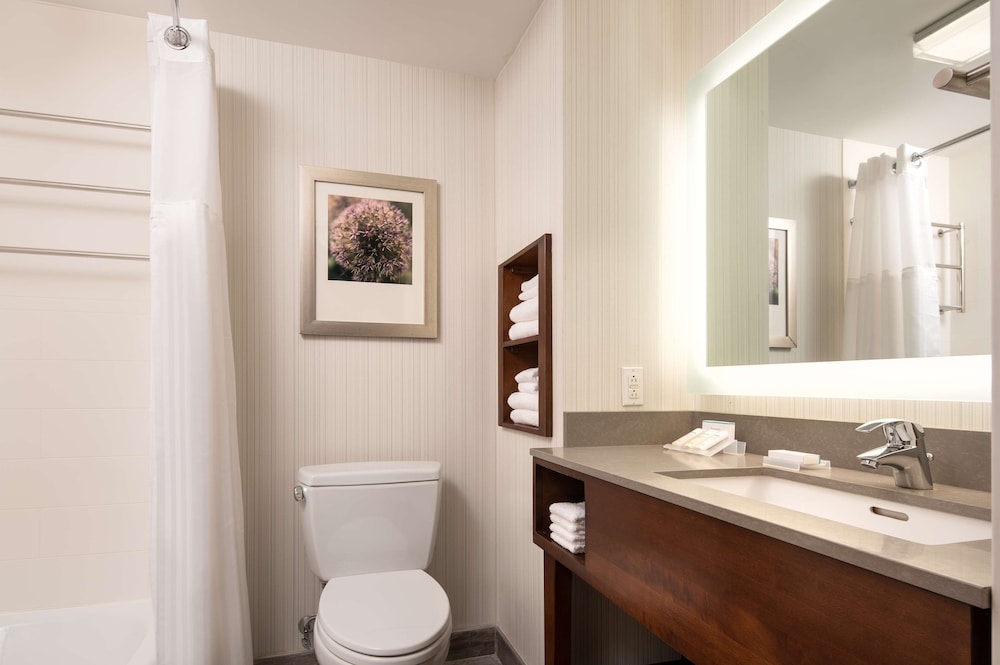 Hilton Garden Inn Long Island City New York 15/62