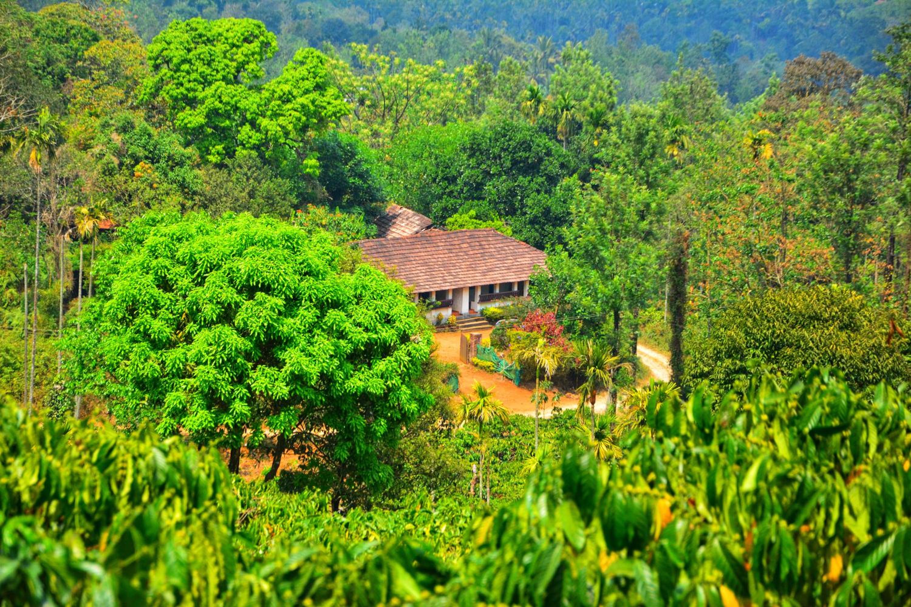 Annapara Home Stay 32/41