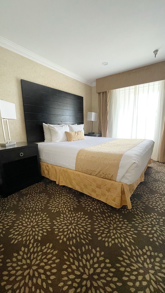 Hotel D Lins Ontario Airport 13/45