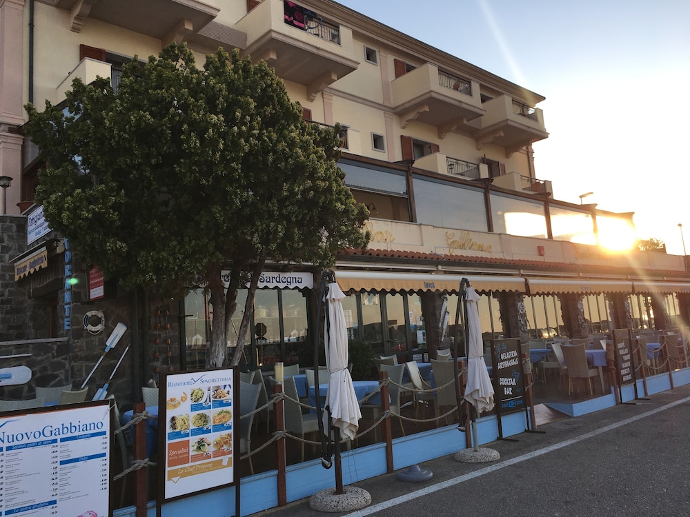 Il Nuovo Gabbiano 1/77