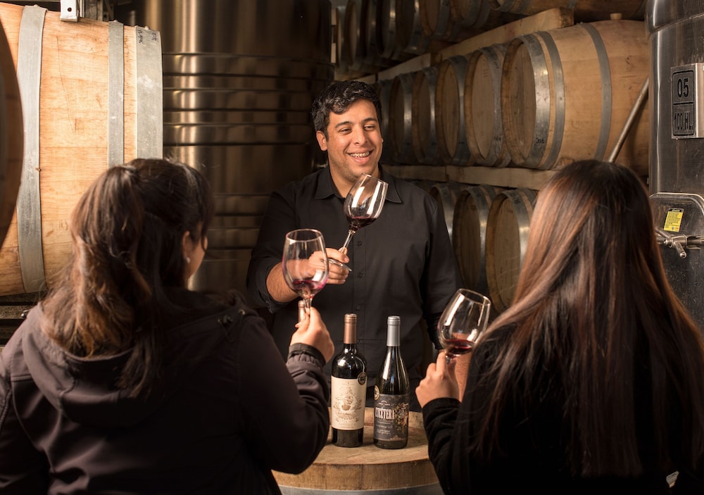 Postales Boutique WIne Hotels - Valle de Uco 8/50