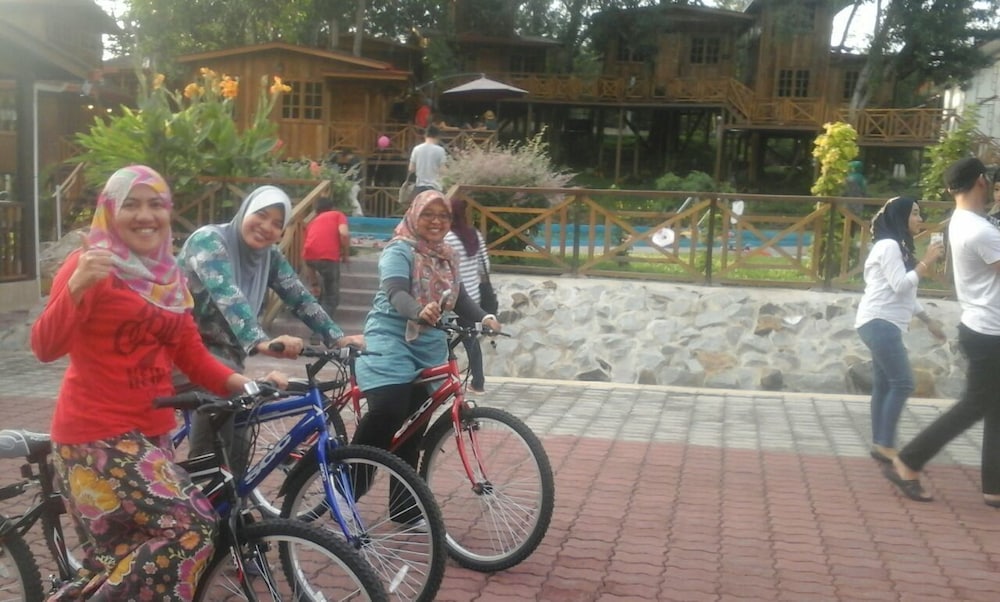 Borneo Tree House 5/25